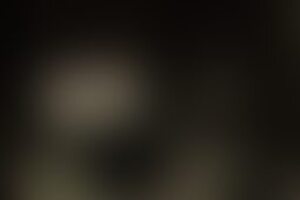 Фотография квеста Форт Боярд от компании Пятница Даниеля (Фото 3)