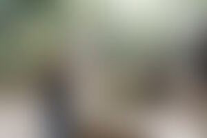 Фотография городского квеста Чита 45-го века от компании Ubego (Фото 1)