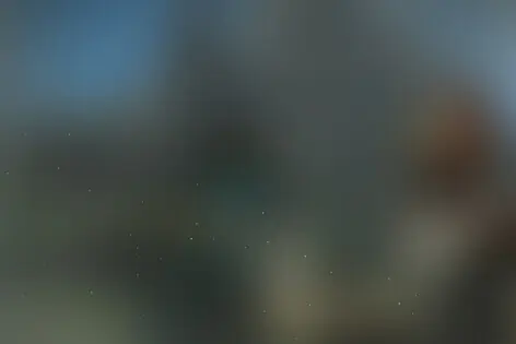VR-квест «Elven Assassin» от Portal