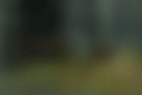 VR-квест «The Forest» от Portal